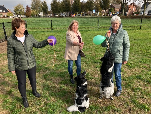 Grootste hondenspeelweide van Zundert nu open in Wernhout