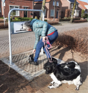 Vrouw gebruikt de PETPOT