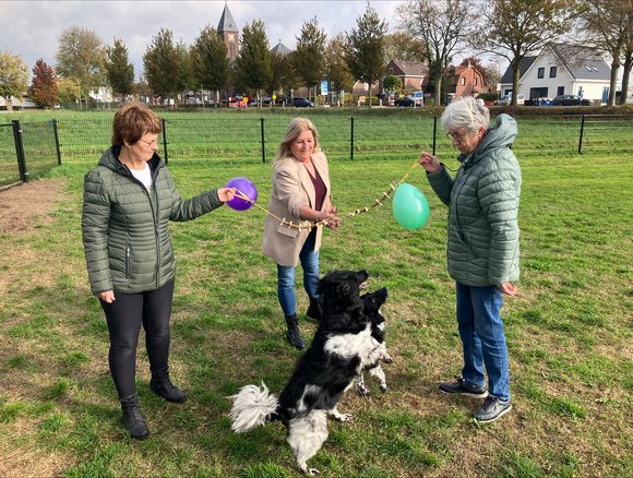 Grootste hondenspeelweide van Zundert nu open in Wernhout