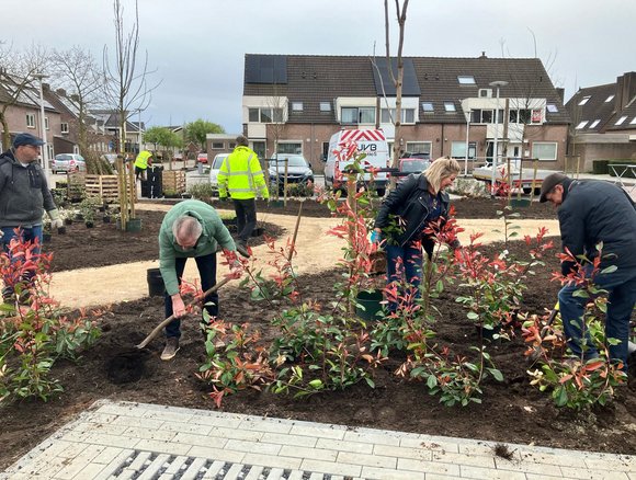 Meerdere personen planten groen in een perkje.